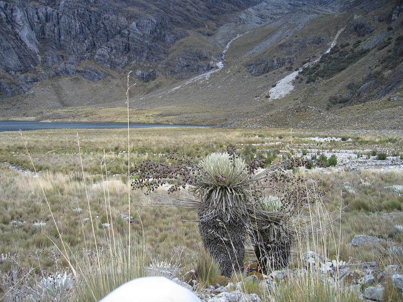 Foto de Mérida, Venezuela