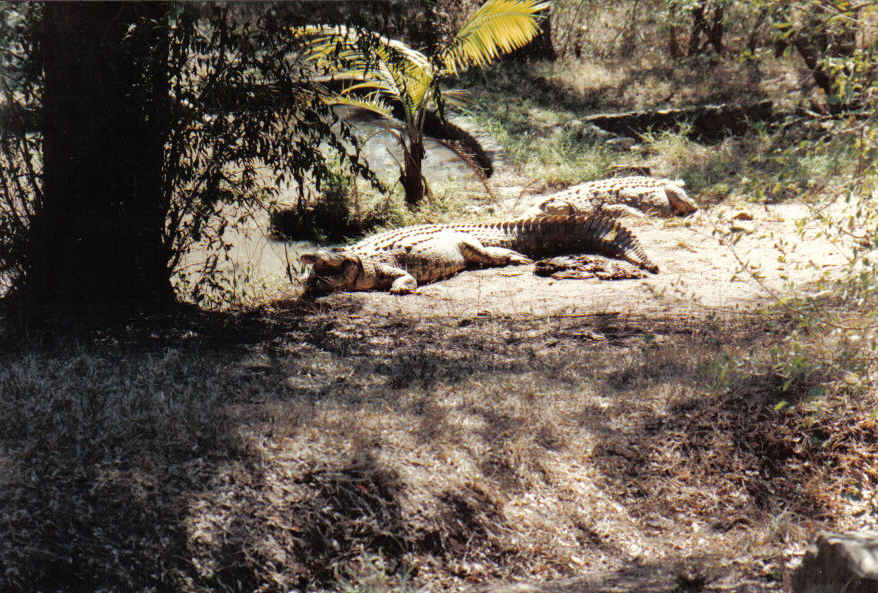 Foto de Swazilandia, Sudáfrica