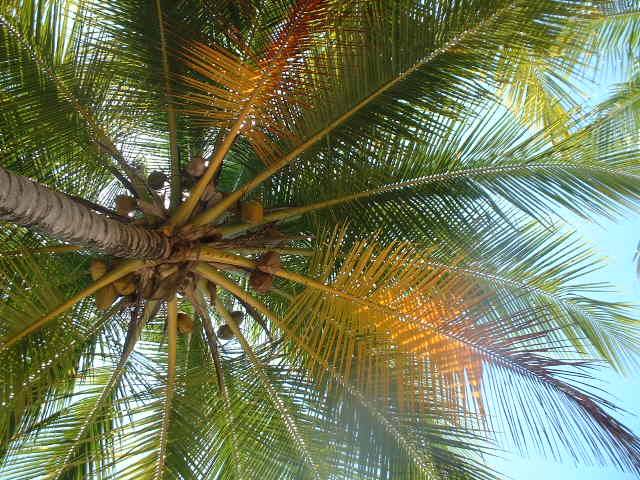 Foto de Miches, R.D., República Dominicana