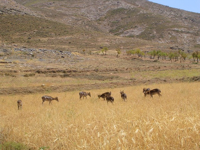 Foto de Almería (Andalucía), España