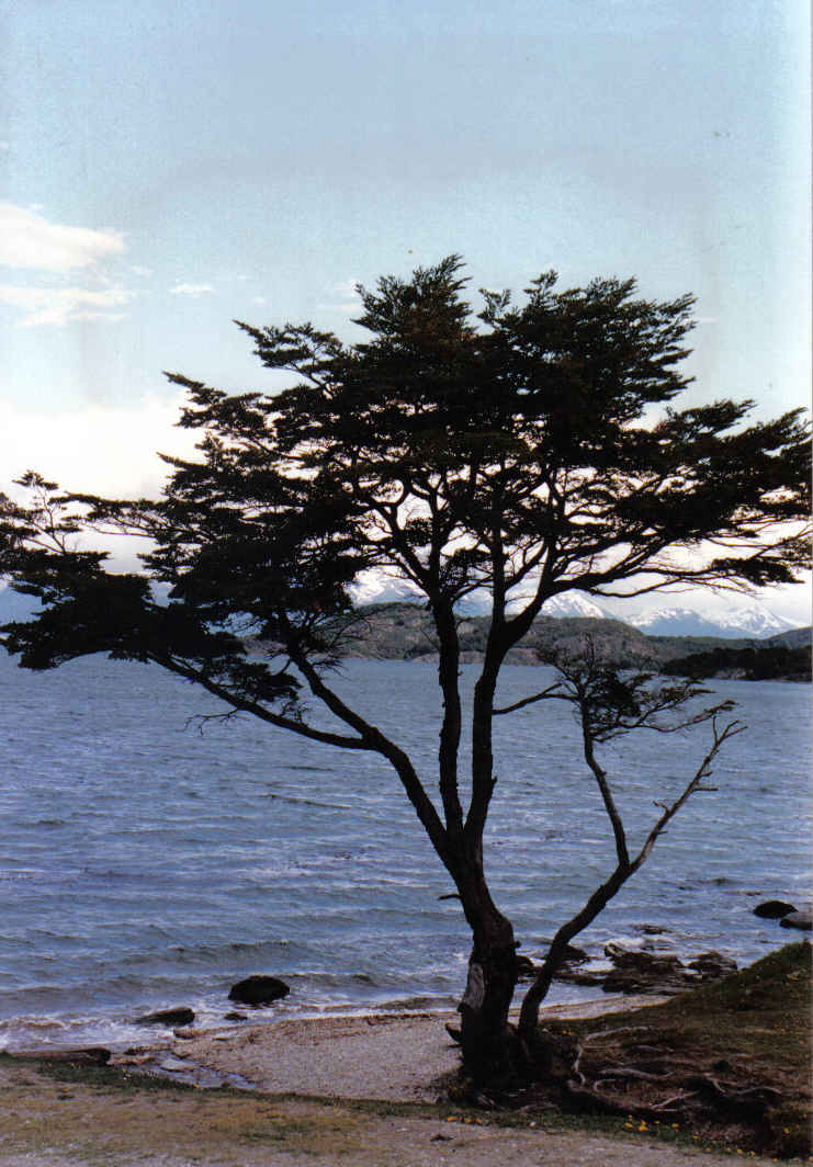 Foto de USHUAIA, Argentina