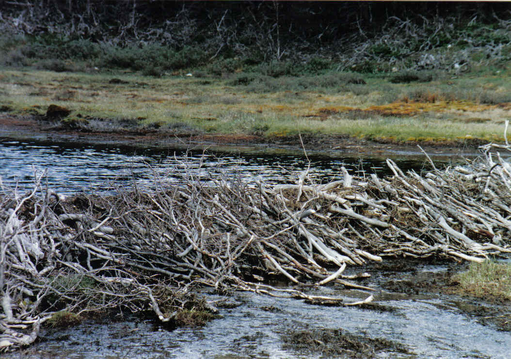 Foto de USHUAIA, Argentina