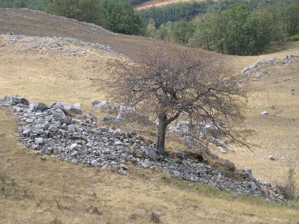 Foto de La Valcueva (León), España