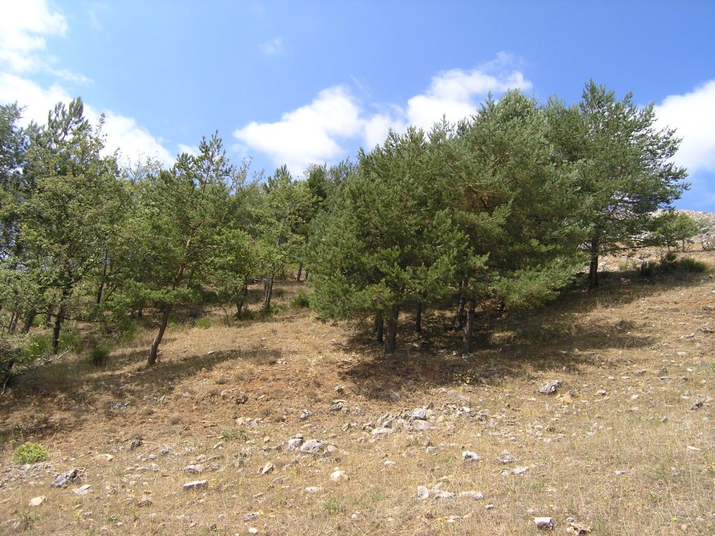 Foto de La Valcueva (León), España