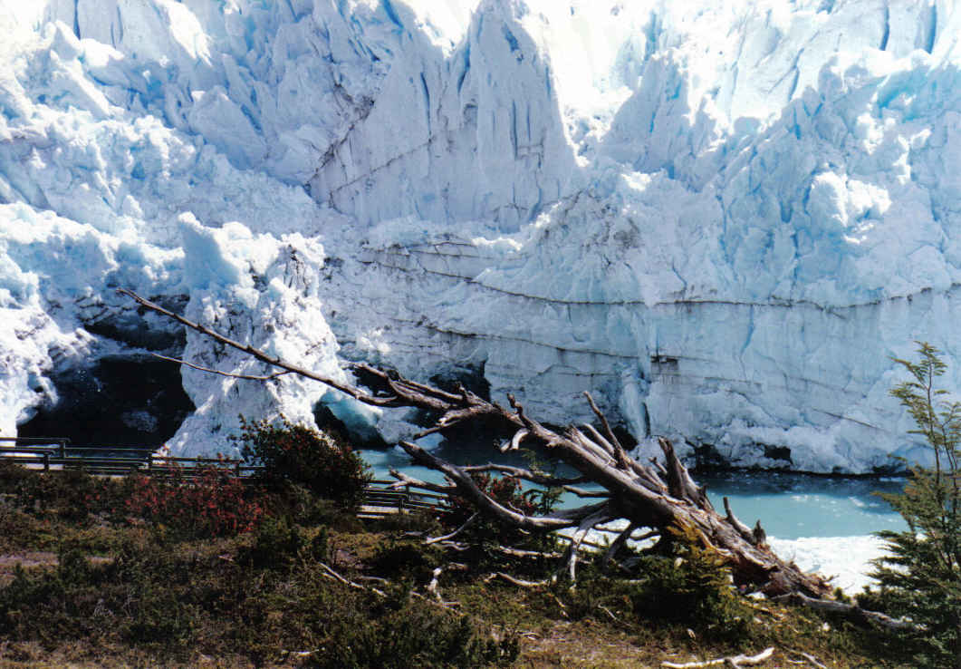 Foto de Perito Moreno, Argentina