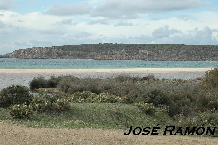 Foto de Bolonia (Cádiz), España