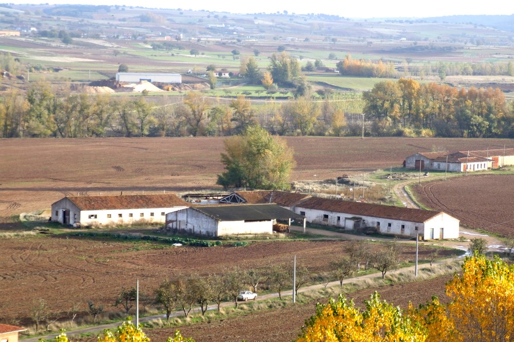 Foto de Lerma (Burgos), España