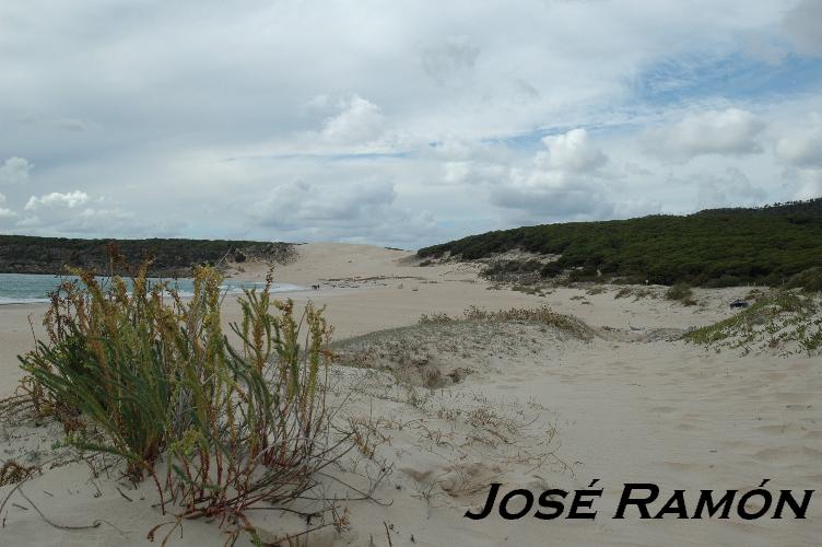 Foto de Bolonia (Cádiz), España