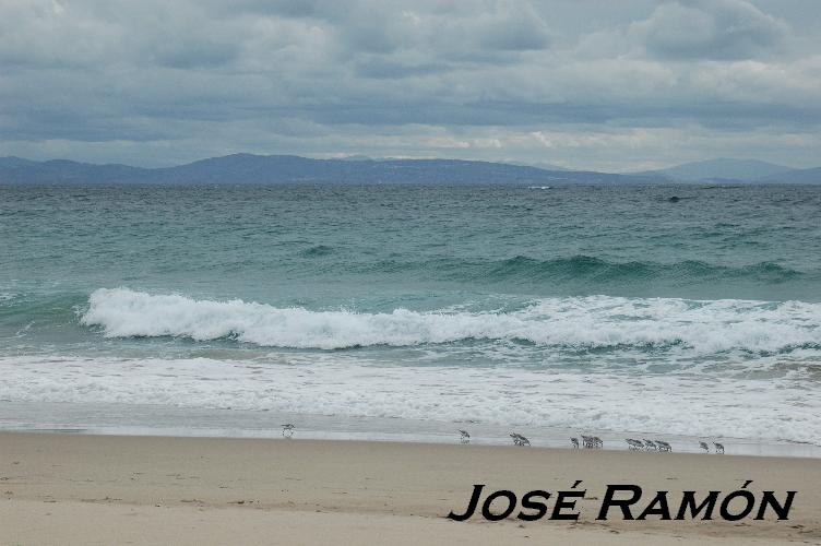 Foto de Bolonia (Cádiz), España