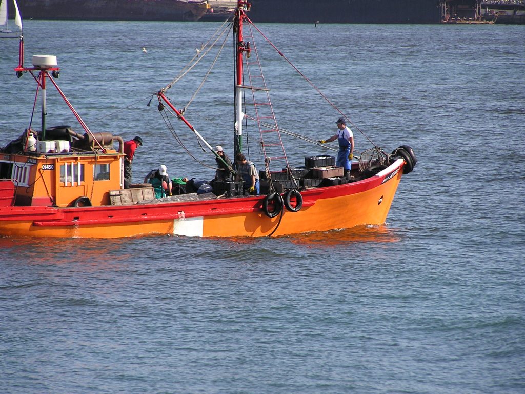 Foto de Mar del Plata, Argentina