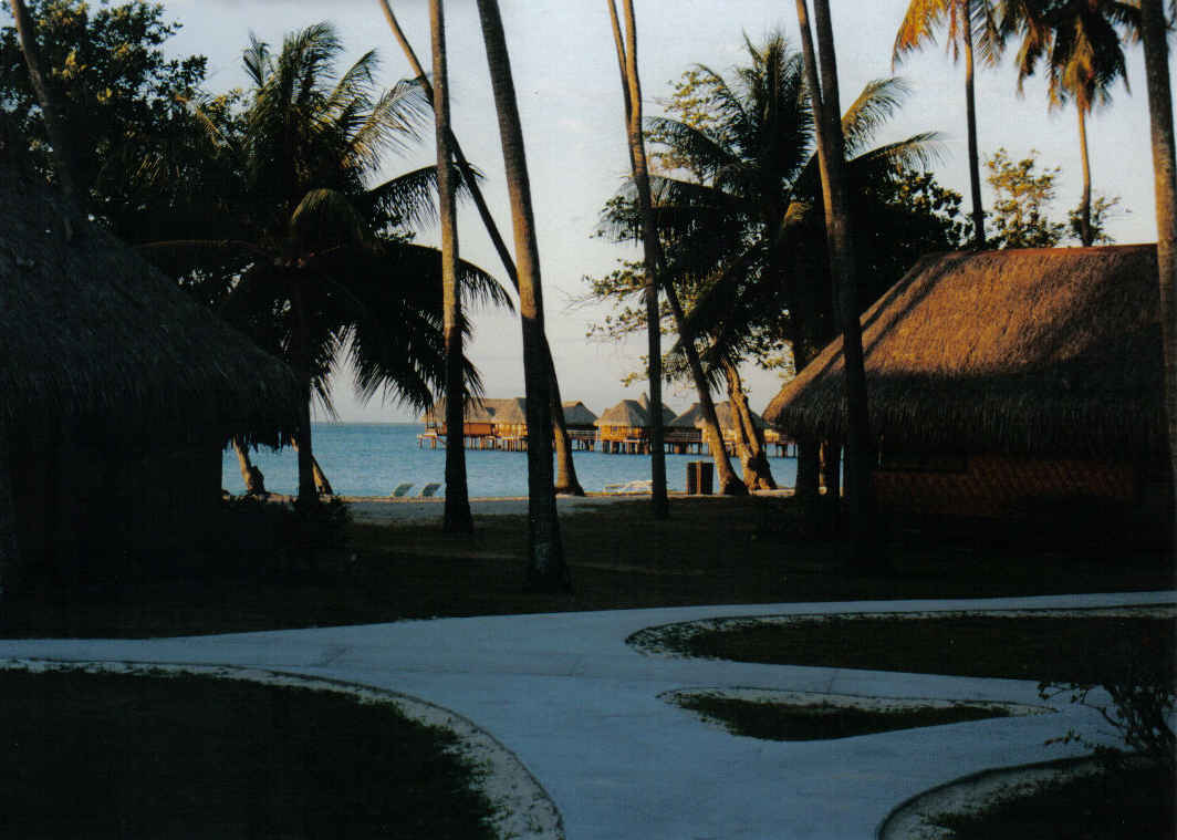 Foto de MOOREA, Polinesia Francesa