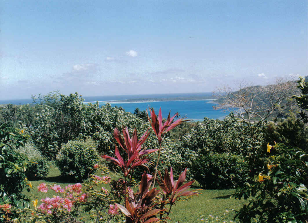 Foto de BORA-BORA, Polinesia Francesa