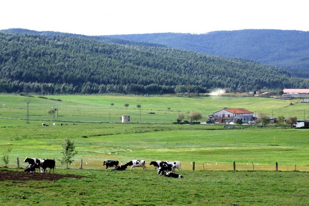 Foto de Parbayon (Cantabria), España