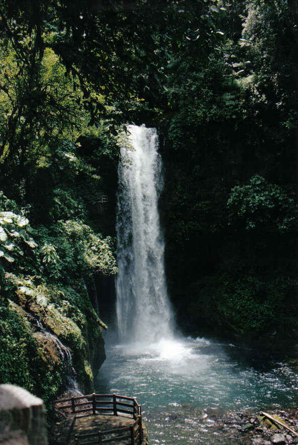 Foto de Waterfall  Gardens, Costa Rica