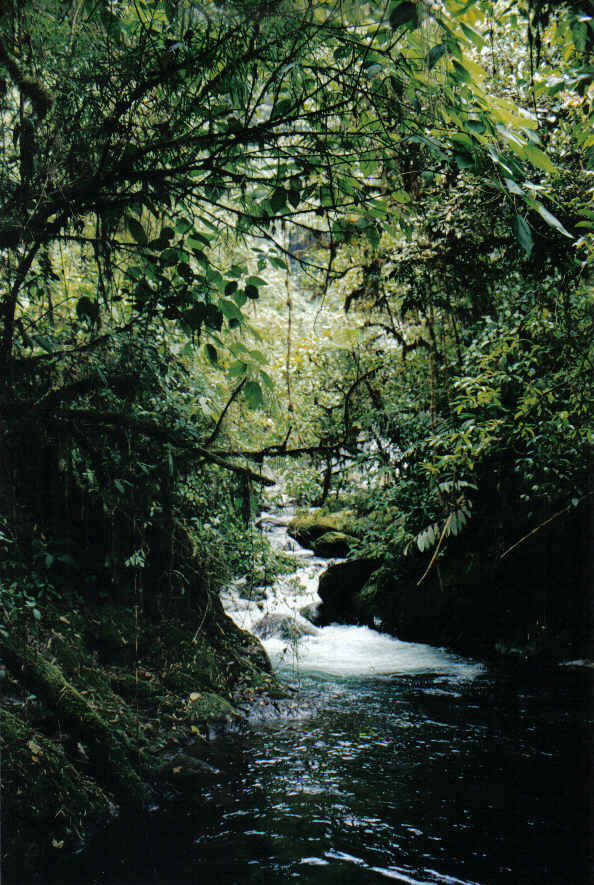 Foto de Waterfall  Gardens, Costa Rica