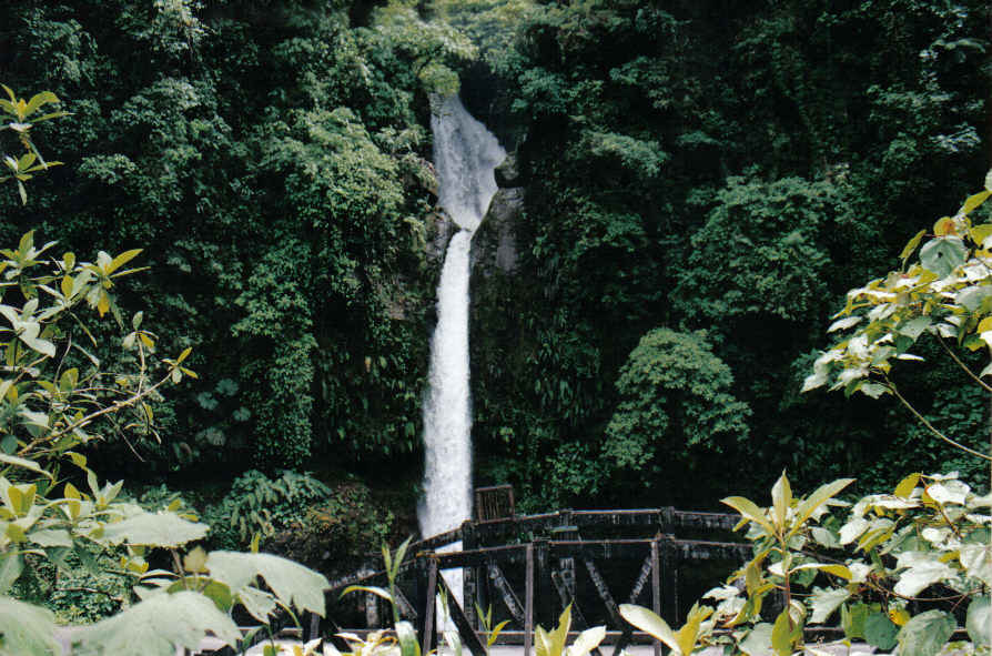 Foto de Waterfall  Gardens, Costa Rica