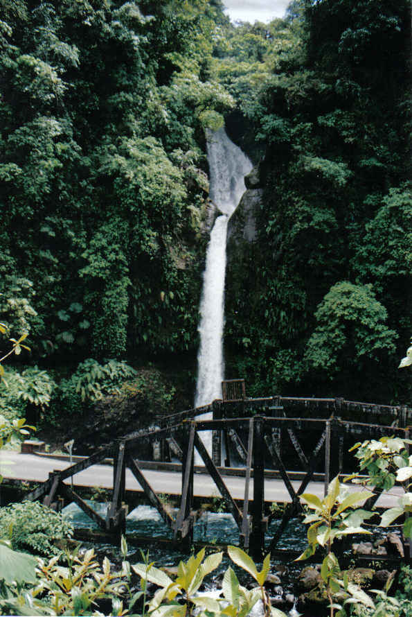 Foto de Waterfall  Gardens, Costa Rica