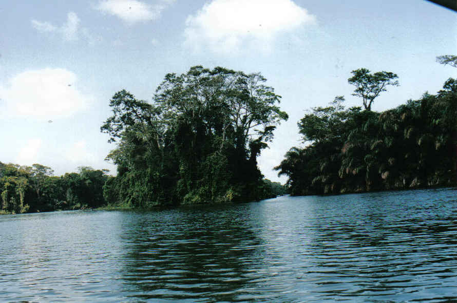 Foto de Tortuguero, Costa Rica