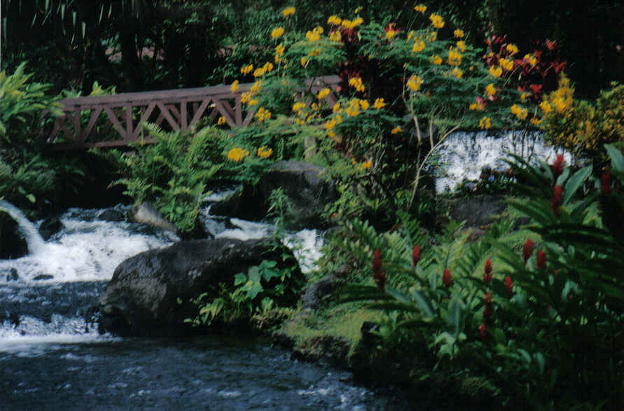 Foto de Monteverde, Costa Rica