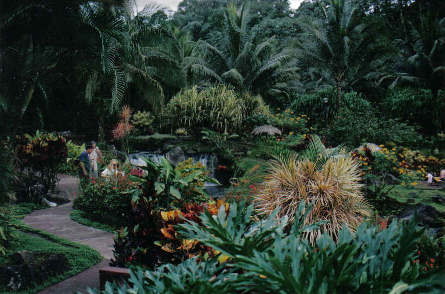 Foto de Monteverde, Costa Rica