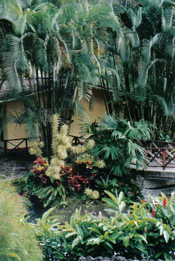 Foto de Monteverde, Costa Rica