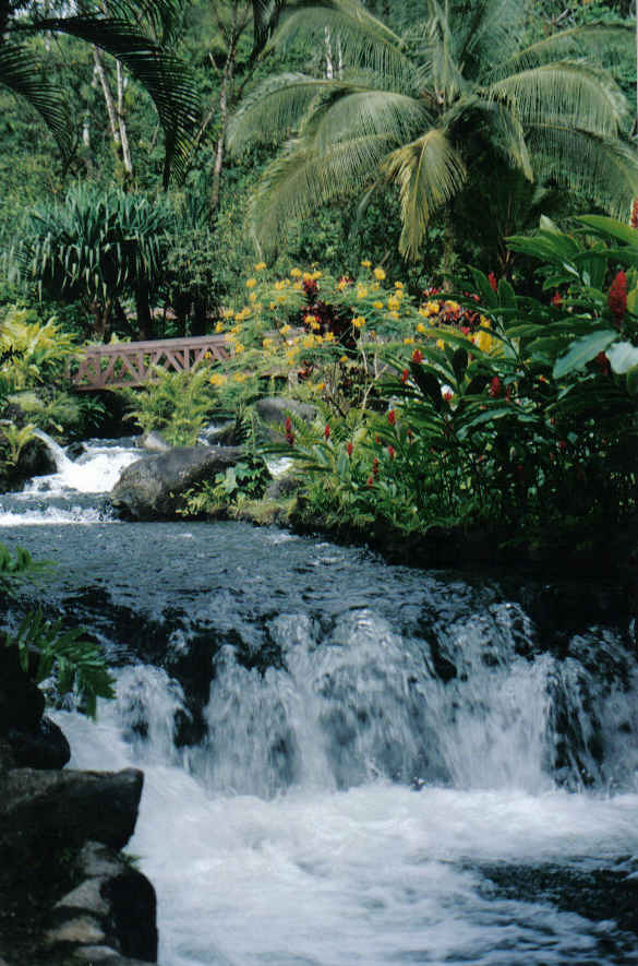 Foto de Monteverde, Costa Rica