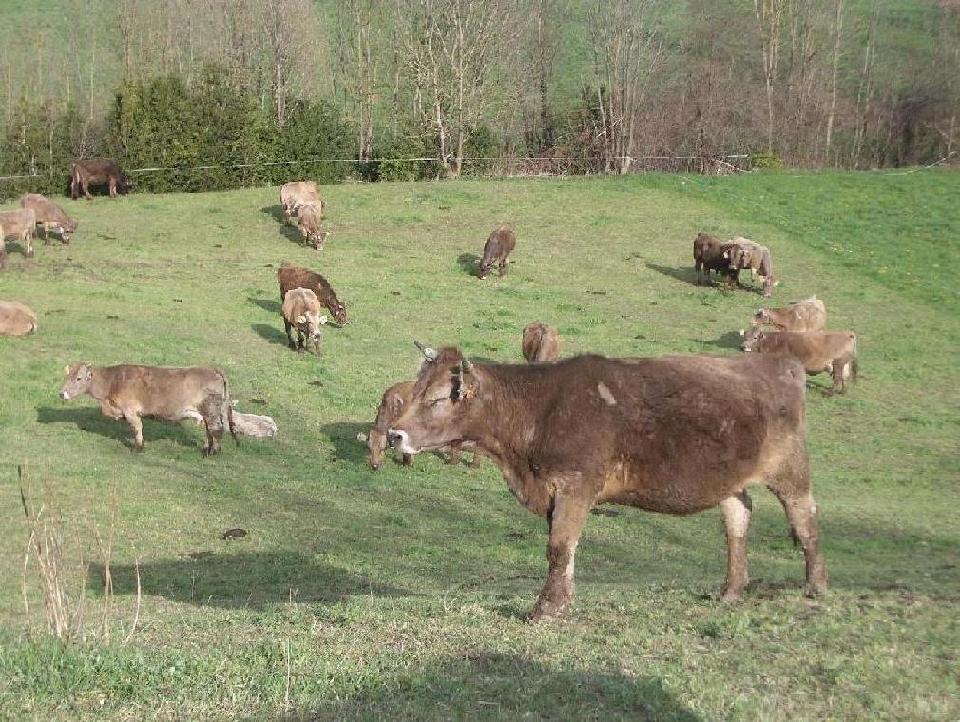 Foto de Bonansa (Huesca), España