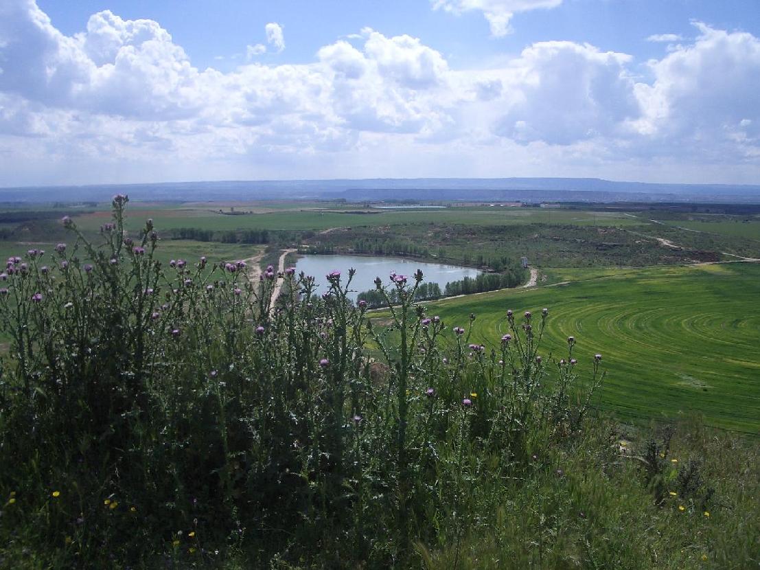 Foto de Bujaraloz (Zaragoza), España