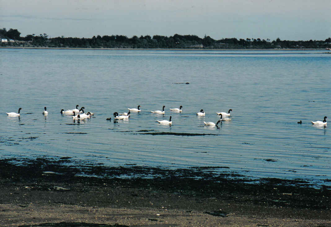 Foto de Ancud-Chiloe, Chile