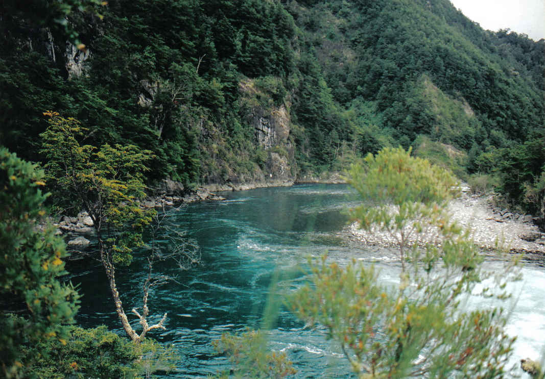 Foto de Puerto Varas, Chile