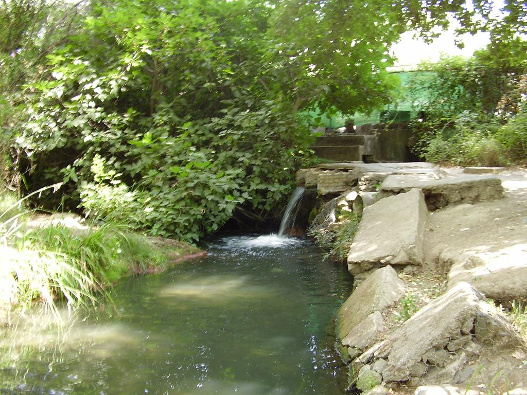 Foto de El Bosque (Cádiz), España