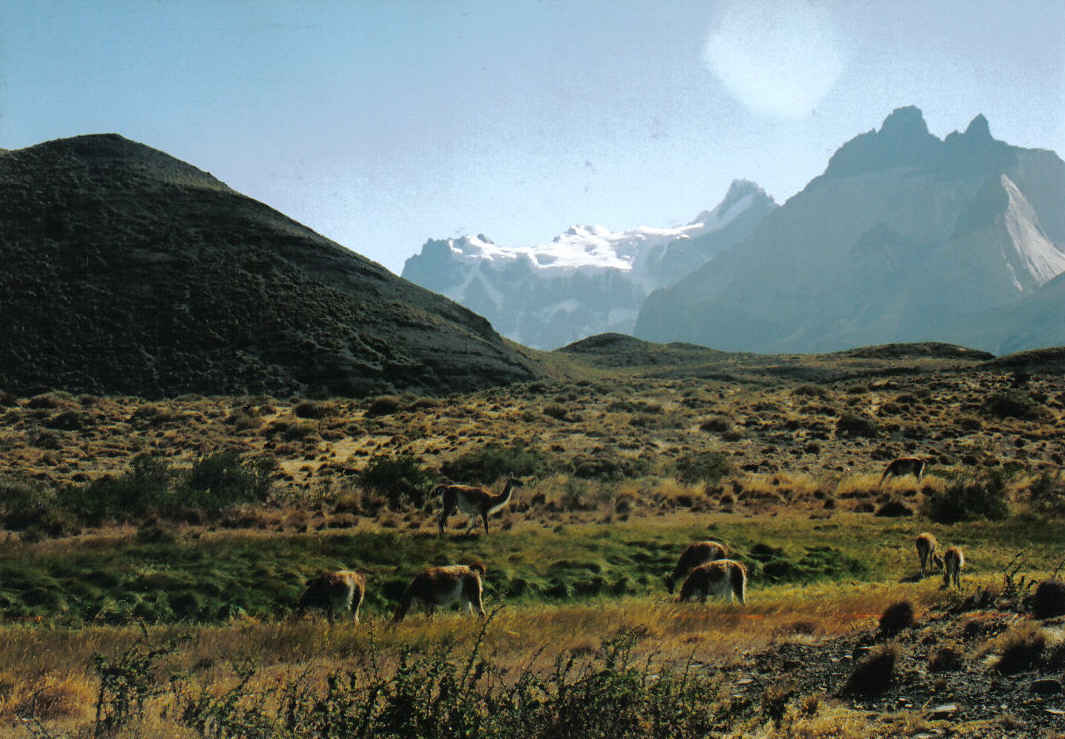 Foto de Torres del Paine, Chile