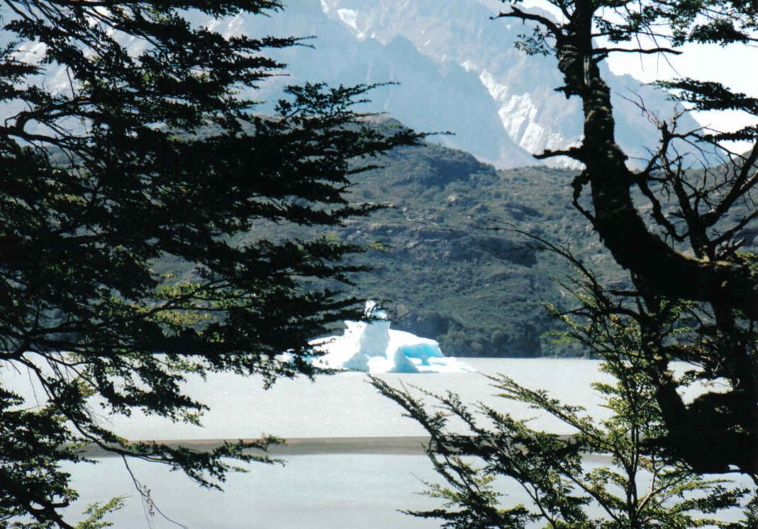 Foto de Torres del Paine, Chile