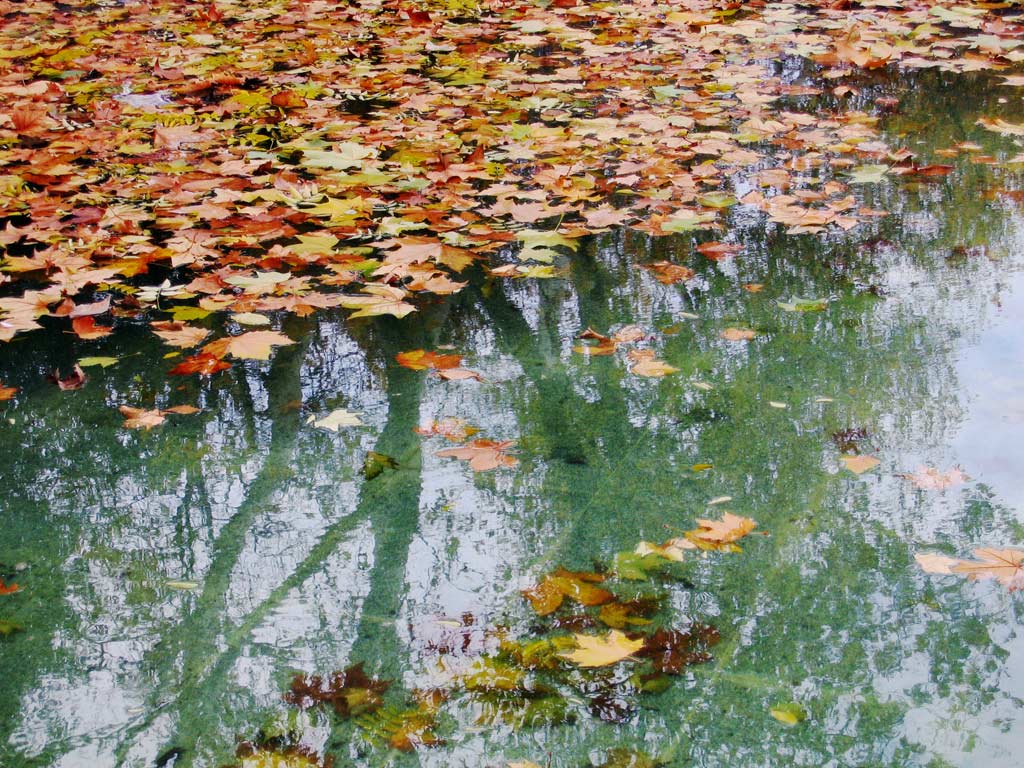 Foto de Valladolid (Castilla y León), España
