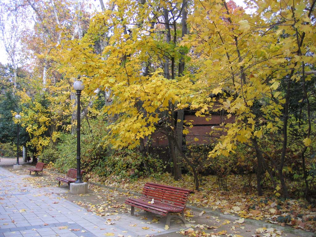 Foto de Valladolid (Castilla y León), España