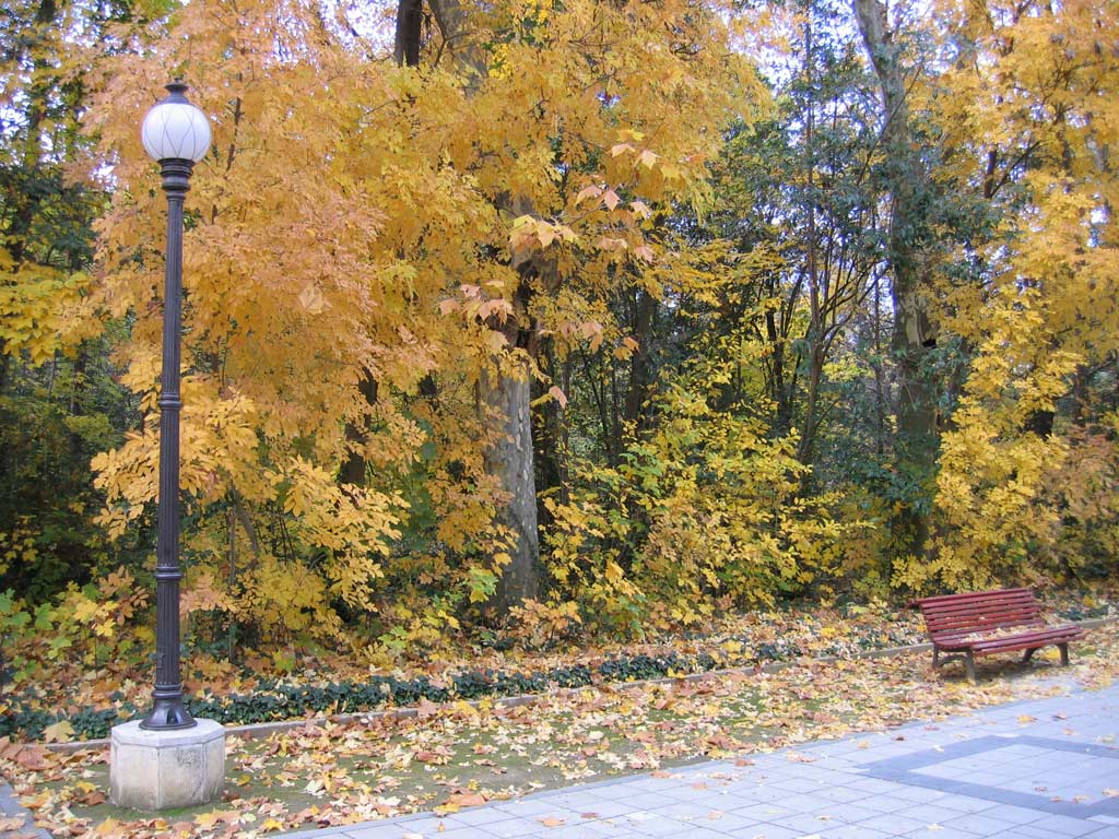 Foto de Valladolid (Castilla y León), España