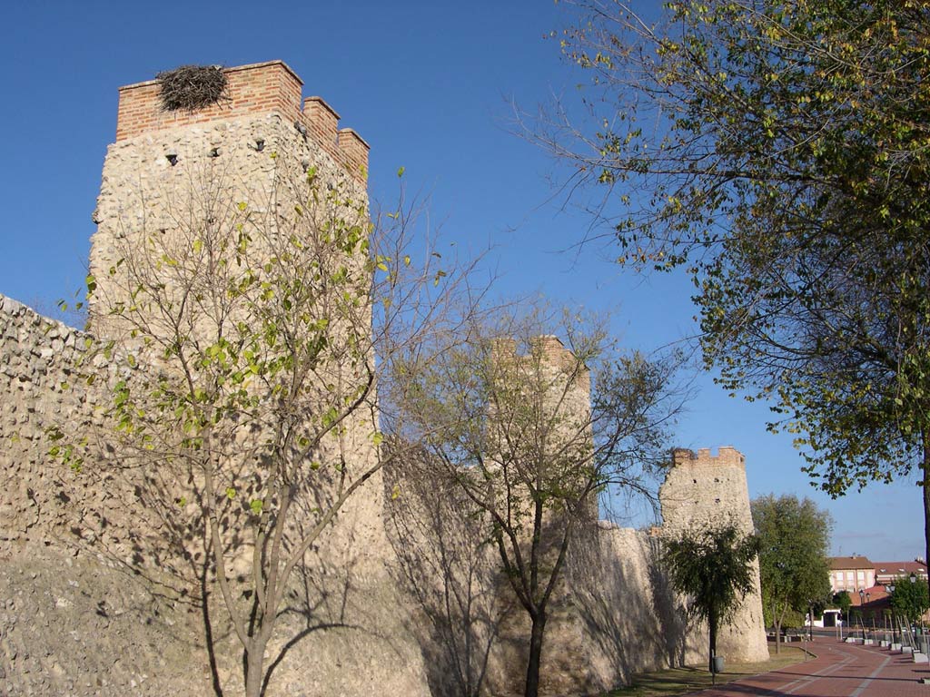 Foto de Olmedo (Valladolid), España