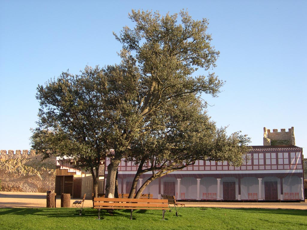 Foto de Olmedo (Valladolid), España