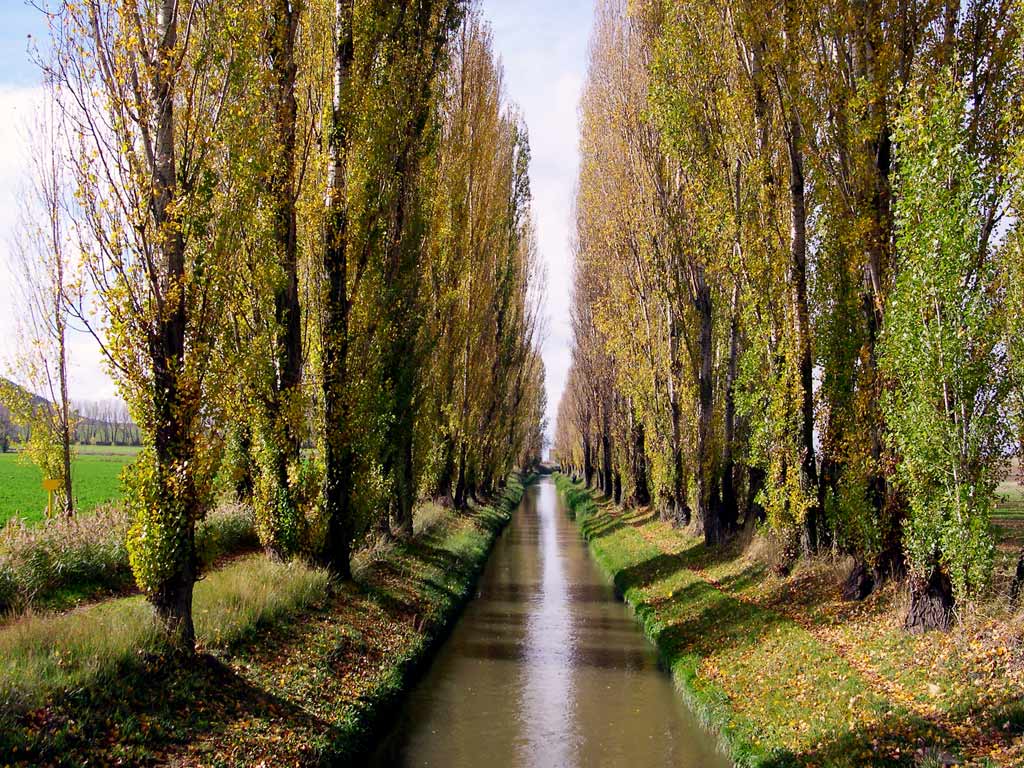 Foto de Valladolid (Castilla y León), España