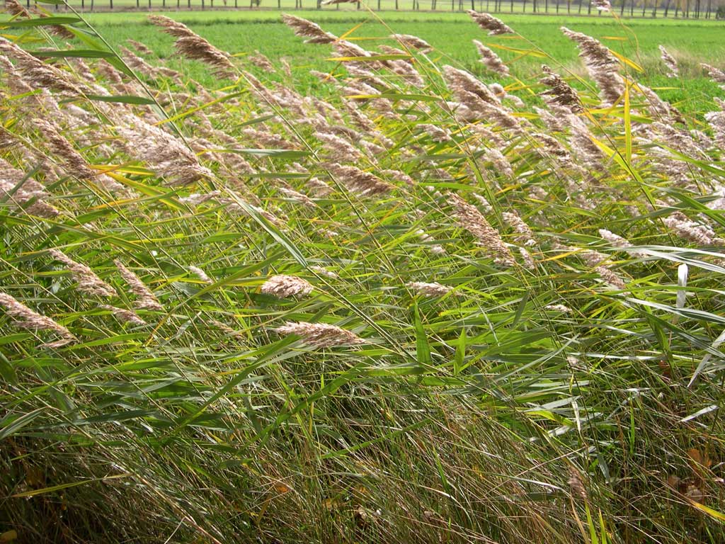 Foto de Valladolid (Castilla y León), España
