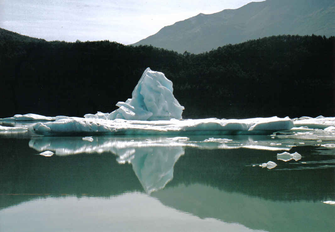 Foto de Puerto Natales, Chile
