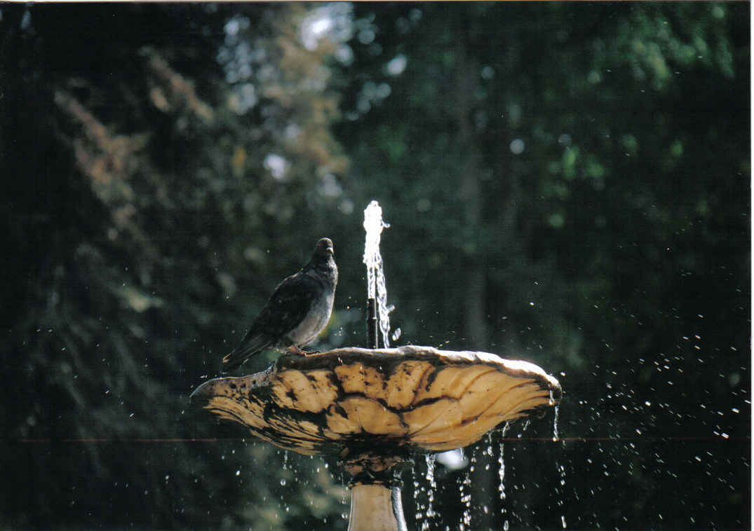 Foto de Santiago de Chile, Chile