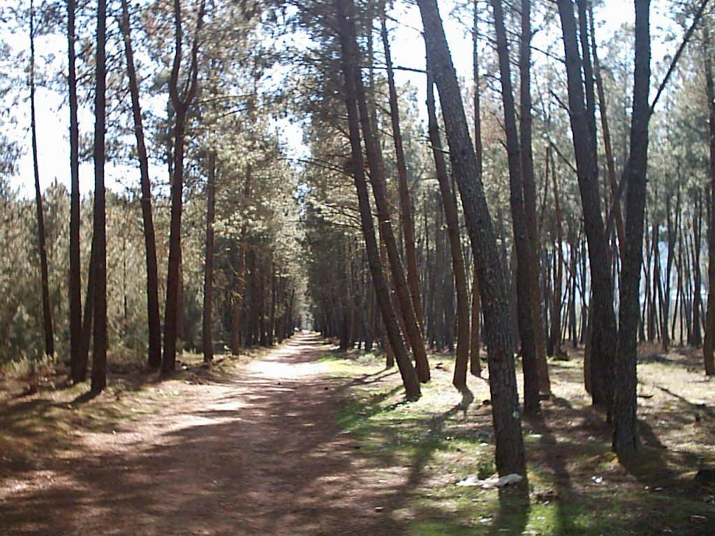 Foto de Verín (Ourense), España