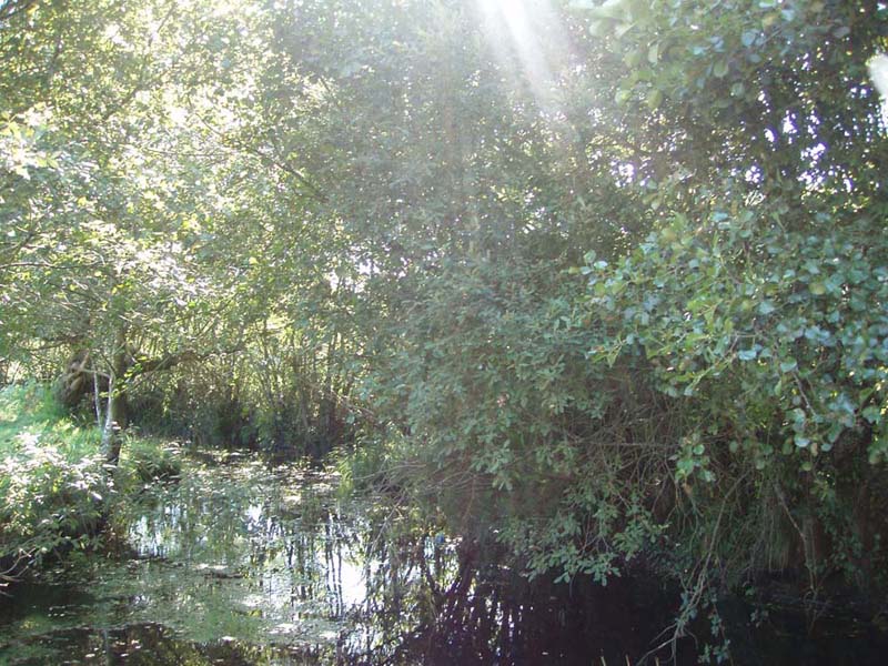 Foto de Friol (Lugo), España