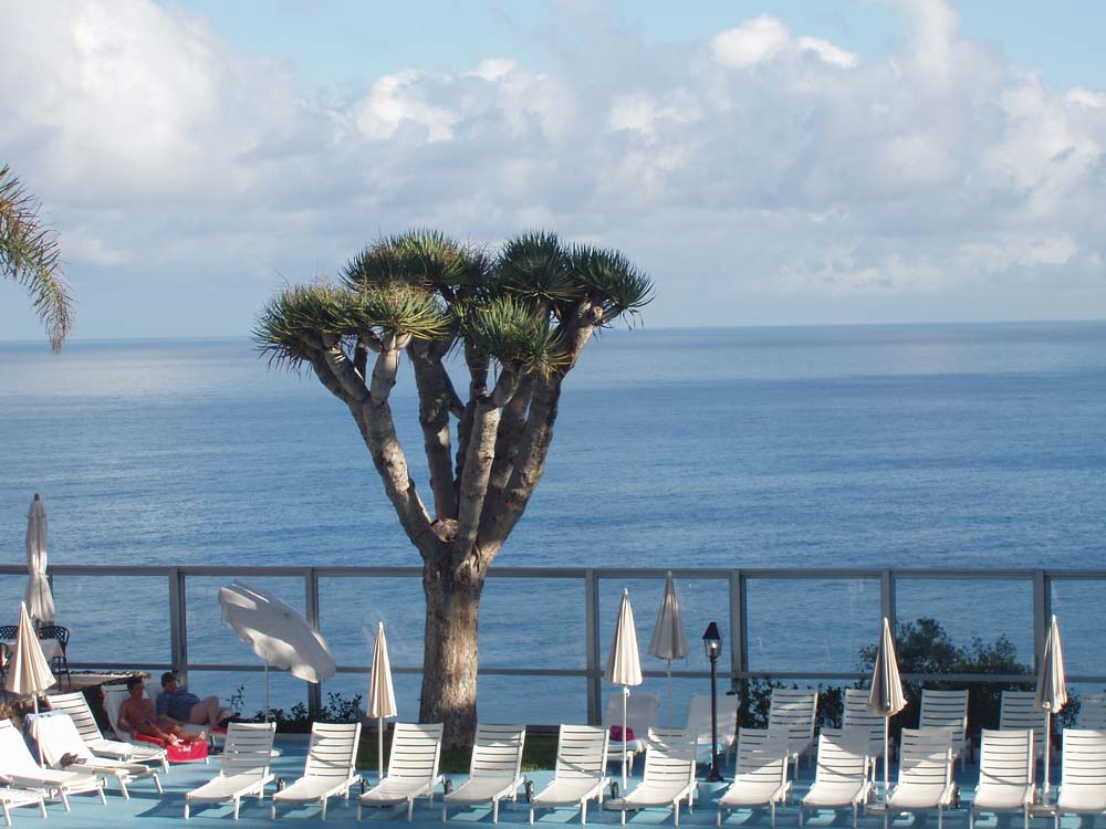 Foto de Puerto de la Cruz - Tenerife (Santa Cruz de Tenerife), España