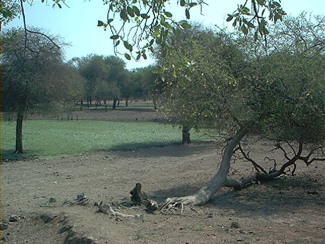 Foto de villa montes, Bolivia