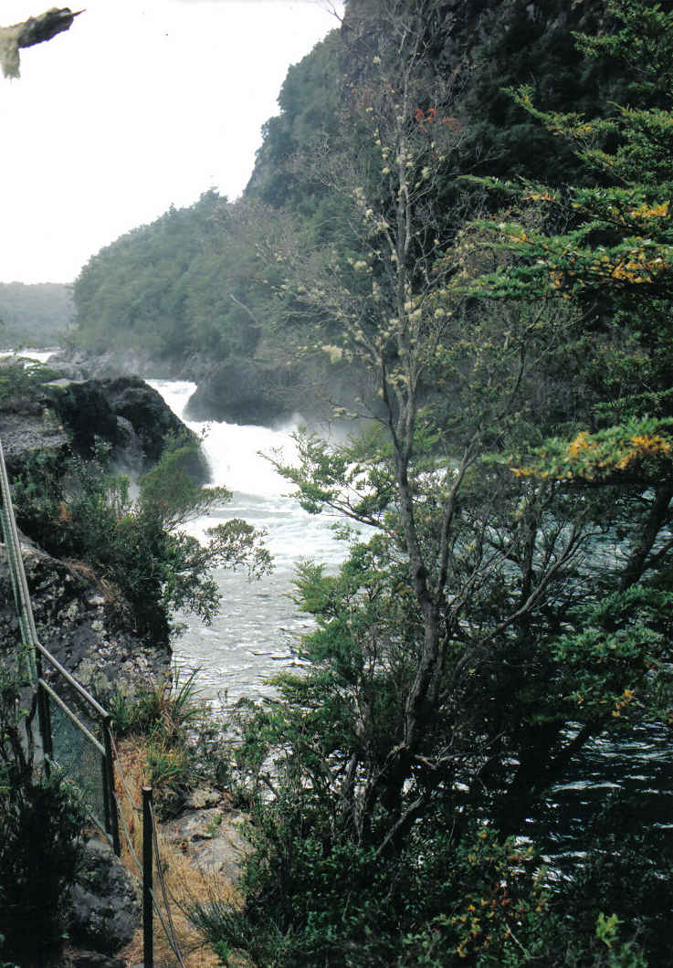 Foto de Puerto Varas, Chile