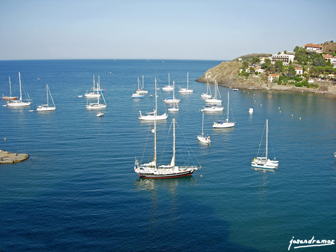 Foto de Collioure, Francia