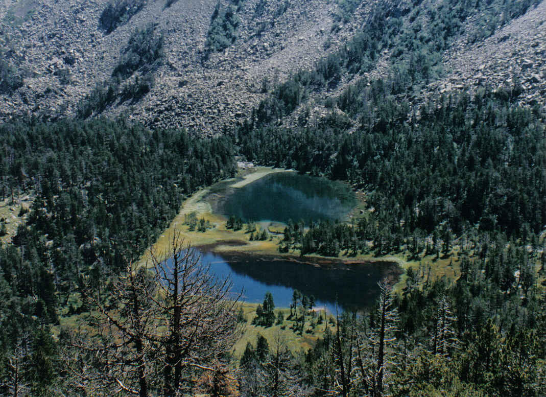 Foto de Aigües Tortes (Lleida), España