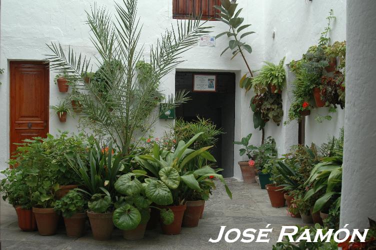 Foto de Vejer de la Frontera (Cádiz), España